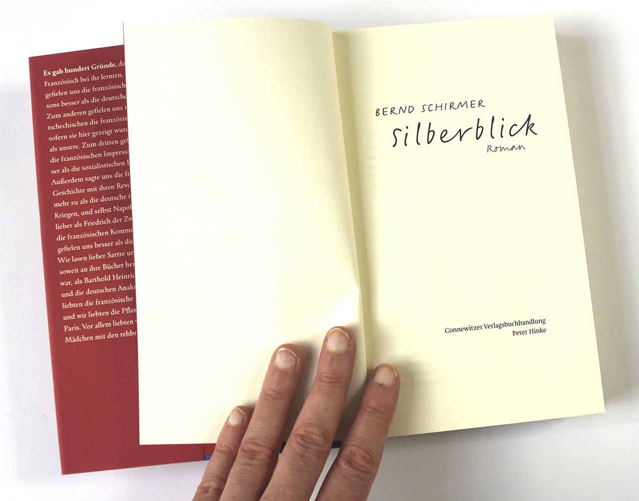 Silberblick Buch von Bernd Schirmer